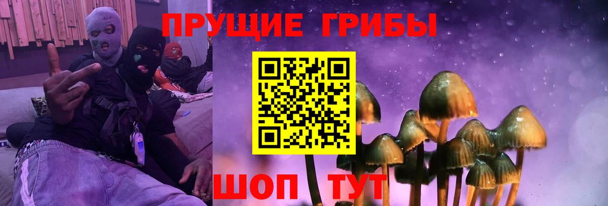 Псилоцибиновые грибы GOLDEN TEACHER Самара