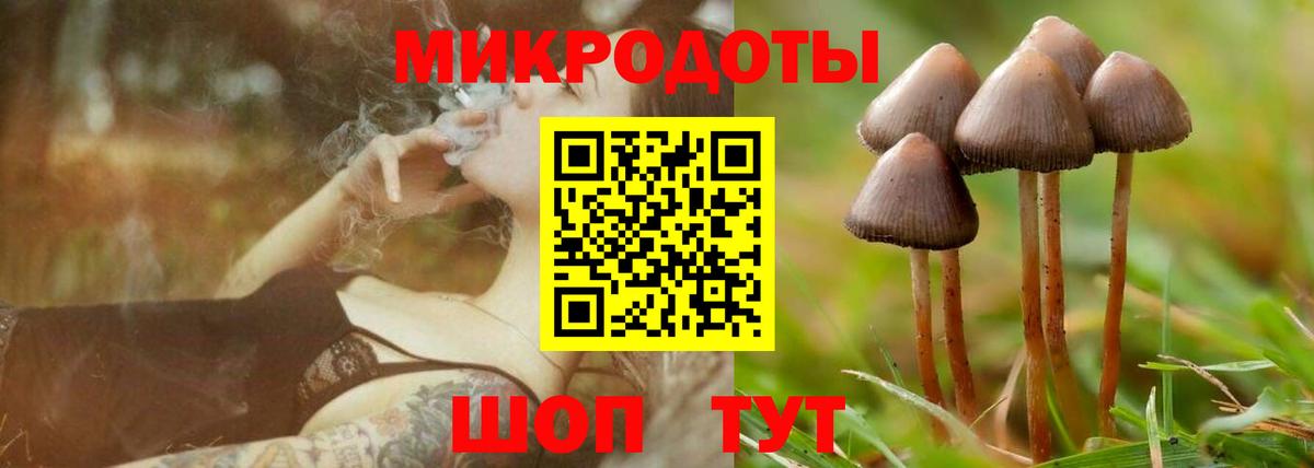 Самара  Галлюциногенные грибы мицелий  Вход с VPN 